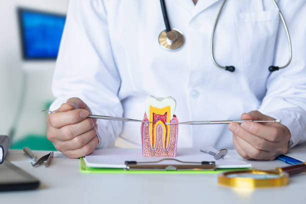 Best Walk-In Emergency Dentist in Woodbine, IA